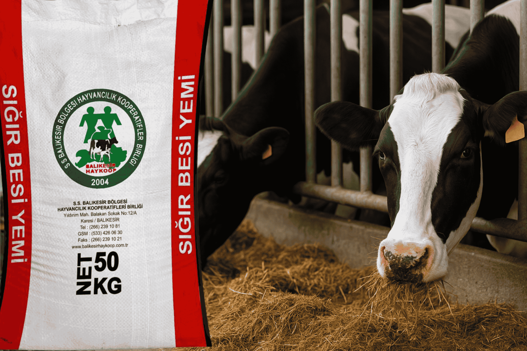 Feed Supply Services