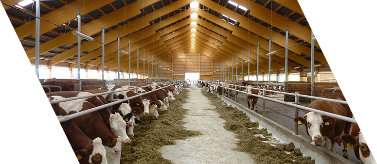 Farm Efficiency Analysis