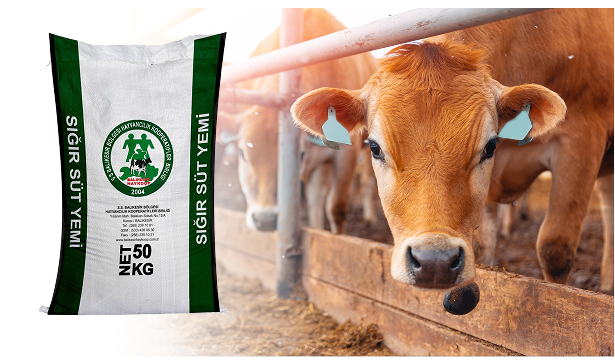 The Foundation of Milk Yield